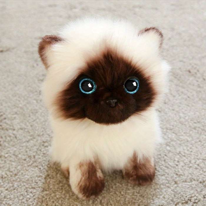 Toy Doll Color Cat Plush Size 26 Cm