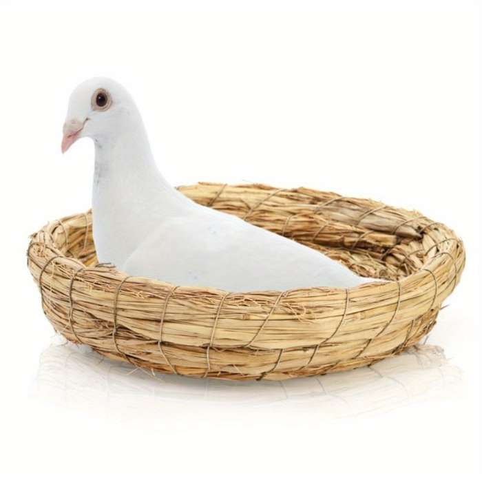 Pet supplies Items 2pcs