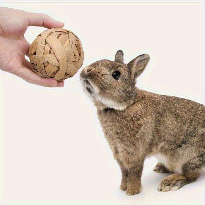Pet Supplies Color Assorted Quantity 6Pcs
