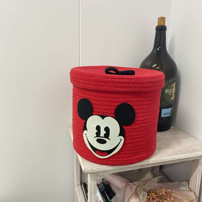 Storage And Organizationcolor Mickey