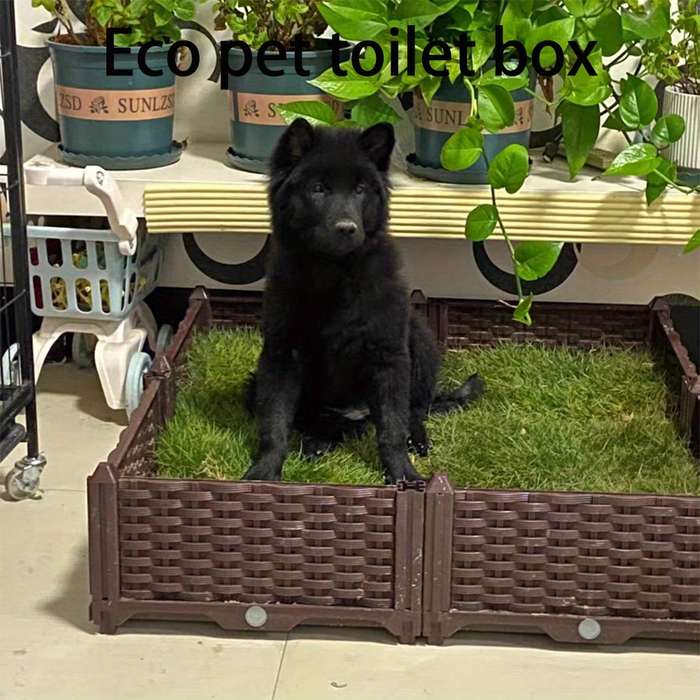 Pet supplies Quantity 1pc