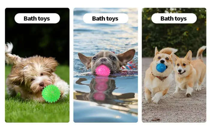 Pet Chew Toys