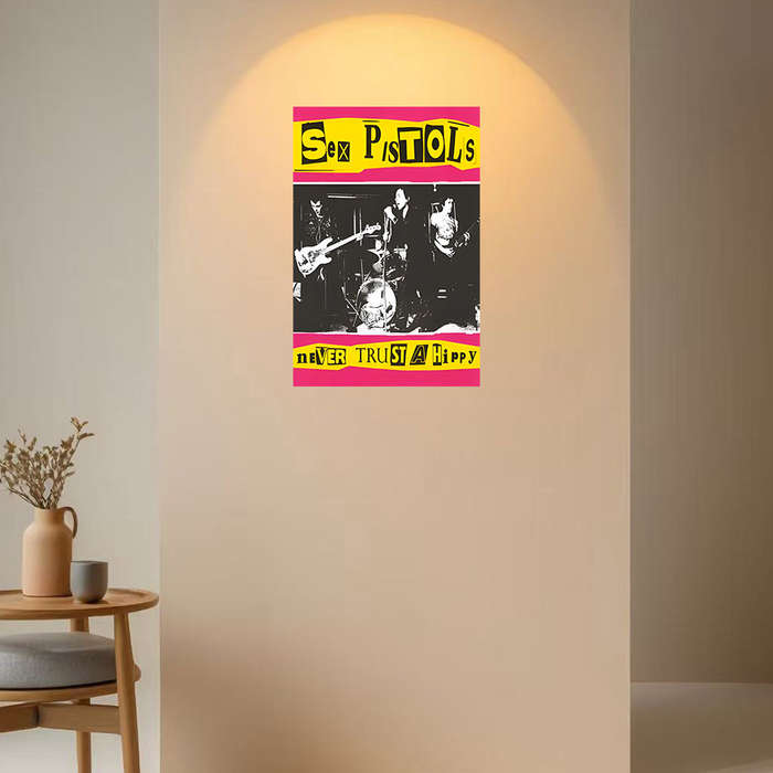 1pc Sex Pistols Never Trust a Hippy Frameless Canvas Art 39.88x59.99 cm Black White Band Post