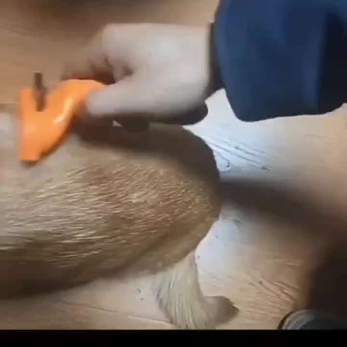 1pc Orange Red Large Pet Comb