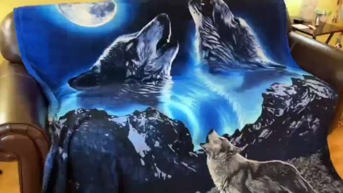 1ps Blanket Color Howling Wolf size 139.95x179.07cm