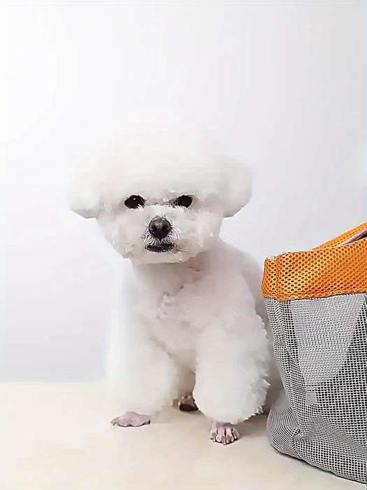 1pc Red Green Pet Bag