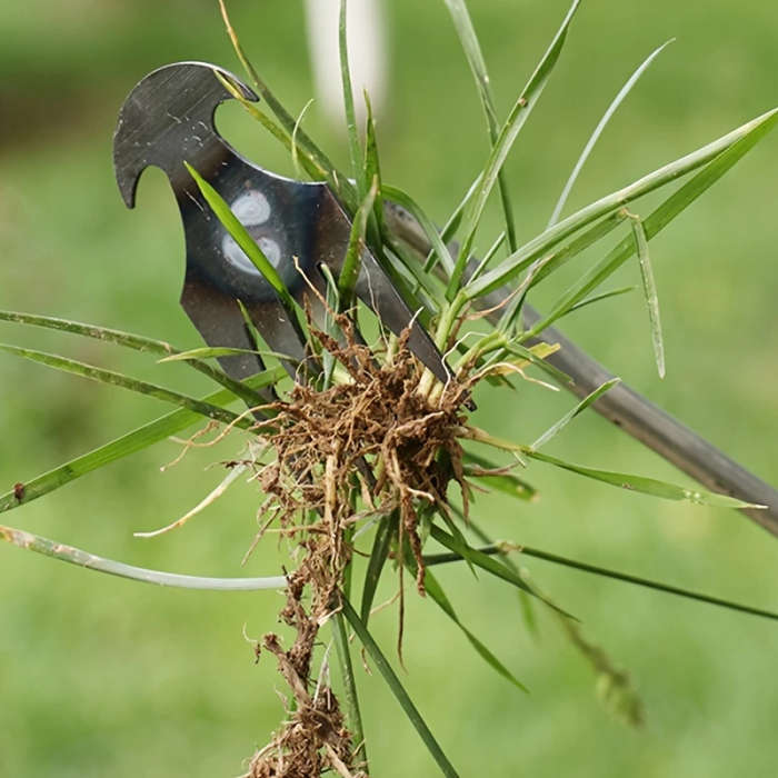 Weeding Tools