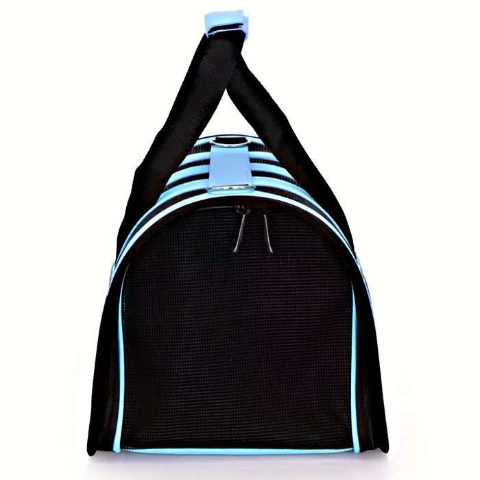 1pc Bluesize L 48.01*27.0*27.0cm Pet Bag