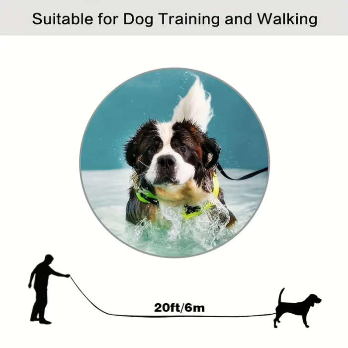 Long Dog Leash