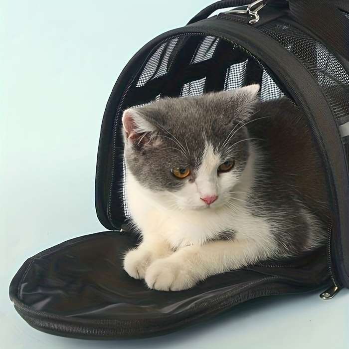 1pc Bluesize L 48.01*27.0*27.0cm Pet Bag