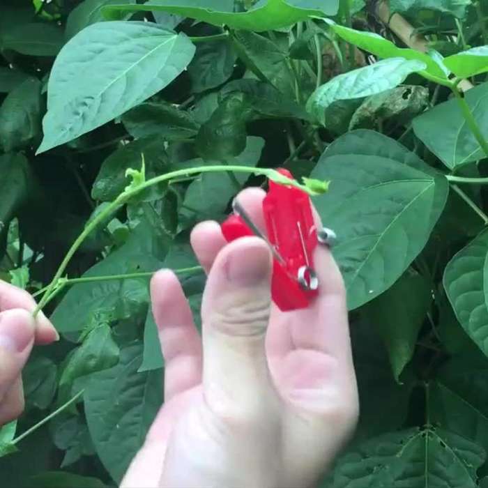 1pc Stainless Steel Multi-Purpose Thumb Knife
