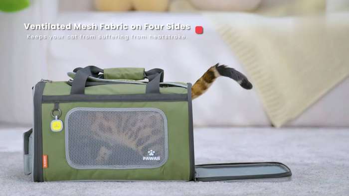 1pc Beige and Tea Green Pet Bag