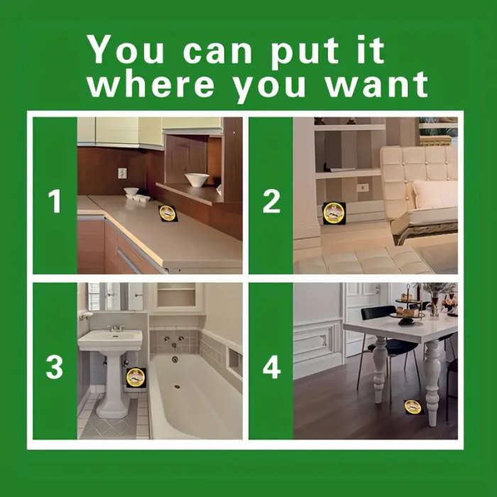 3 Ant Traps