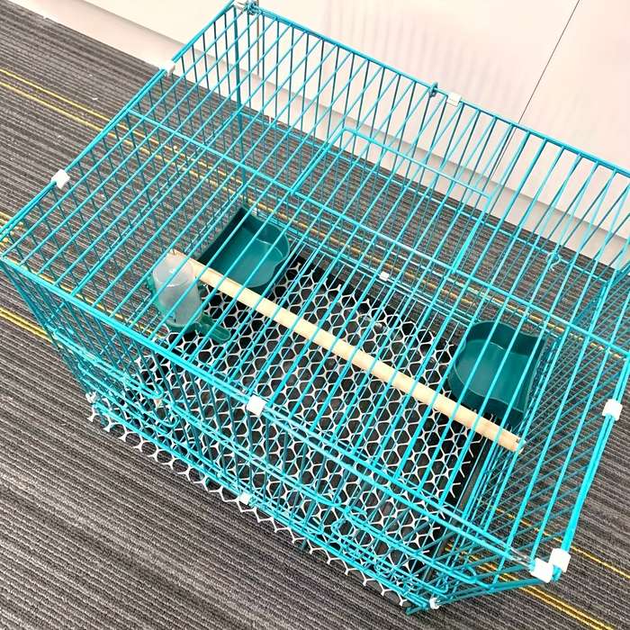 1pc Large Size Heightened Pet Cage