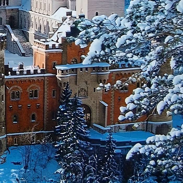 1000 Piece Paper Jigsaw Puzzle For Adults