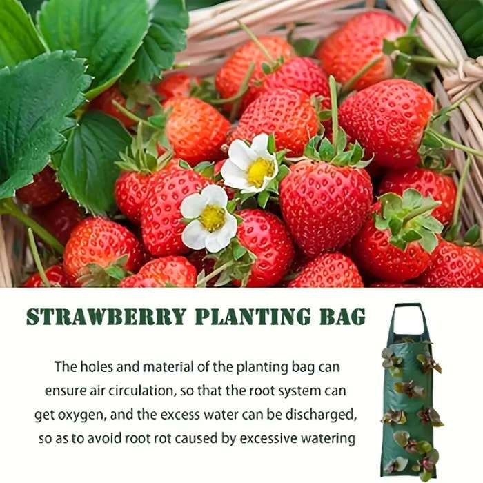 8Hole Hanging Strawberry Planting Bag
