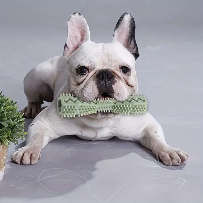 1 x Dog Toothbrush Toy