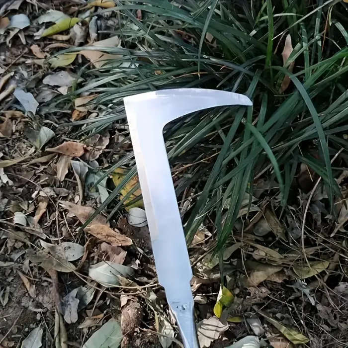 1 Stainless Steel Weeding Tool