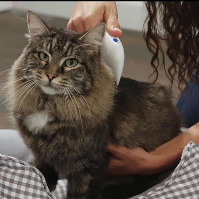 1pc Flea Doctor Pet Comb