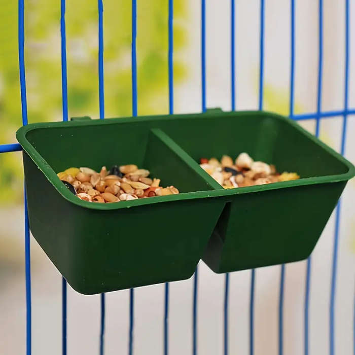 Bird Feeder