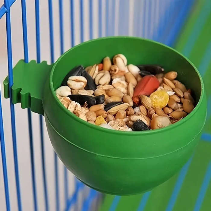 Bird Feeder