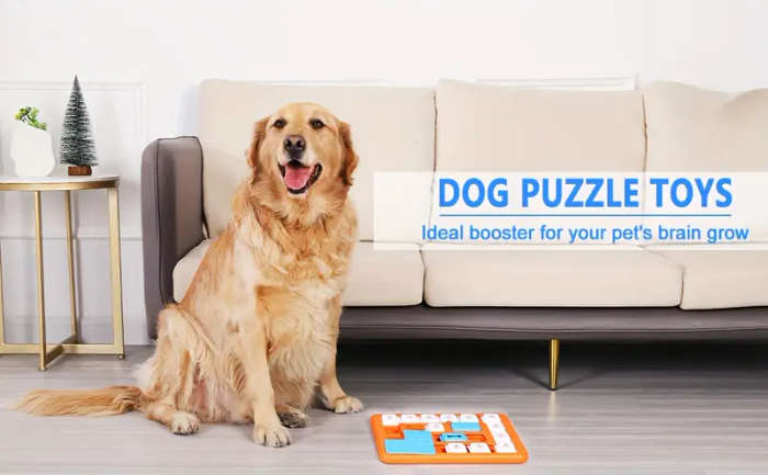 Dog Educational Toys