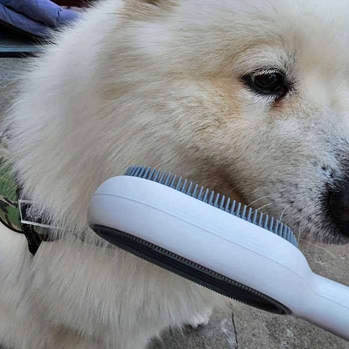 1pc Blue Long Pet Comb