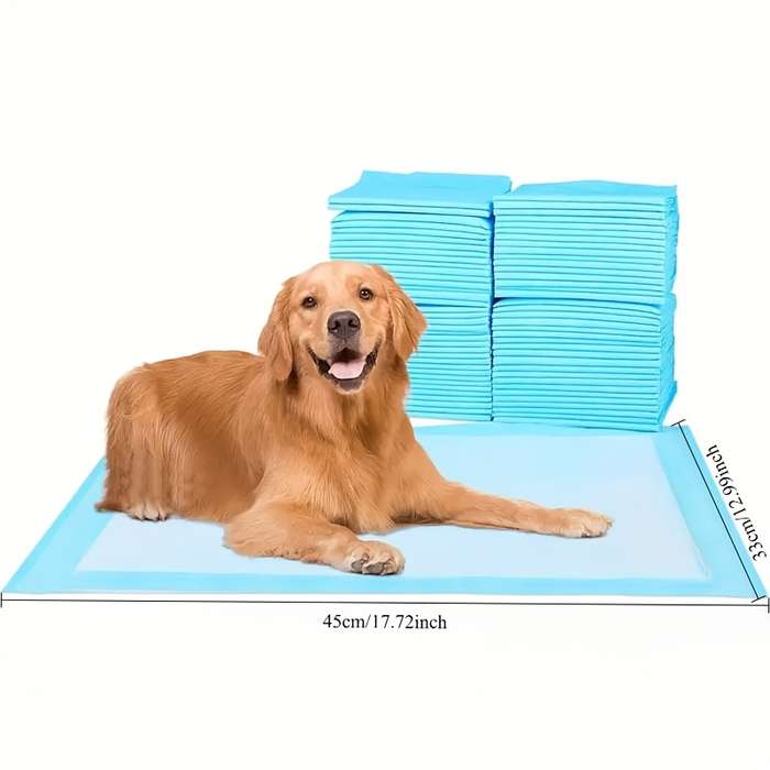 20Pcs Diaper Thickened Blue