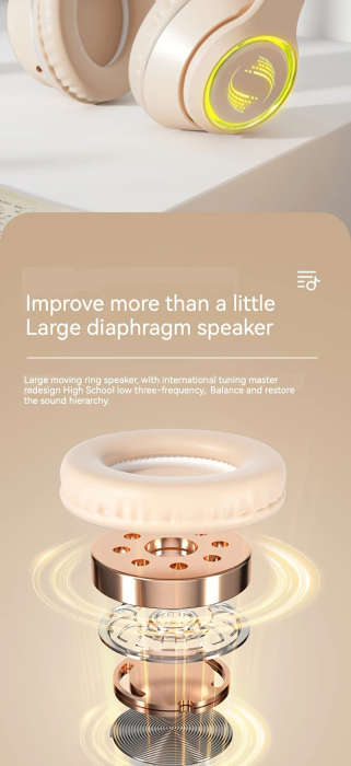 Earphone
