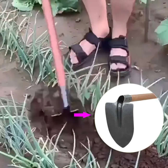 Heavy Triangular Hoe