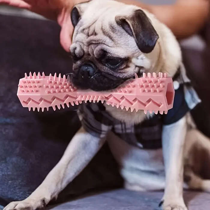 1 x Dog Toothbrush Toy