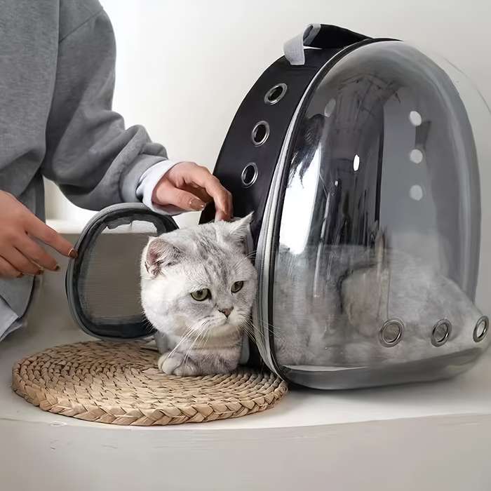 1pc Haze Powder Pet Bag