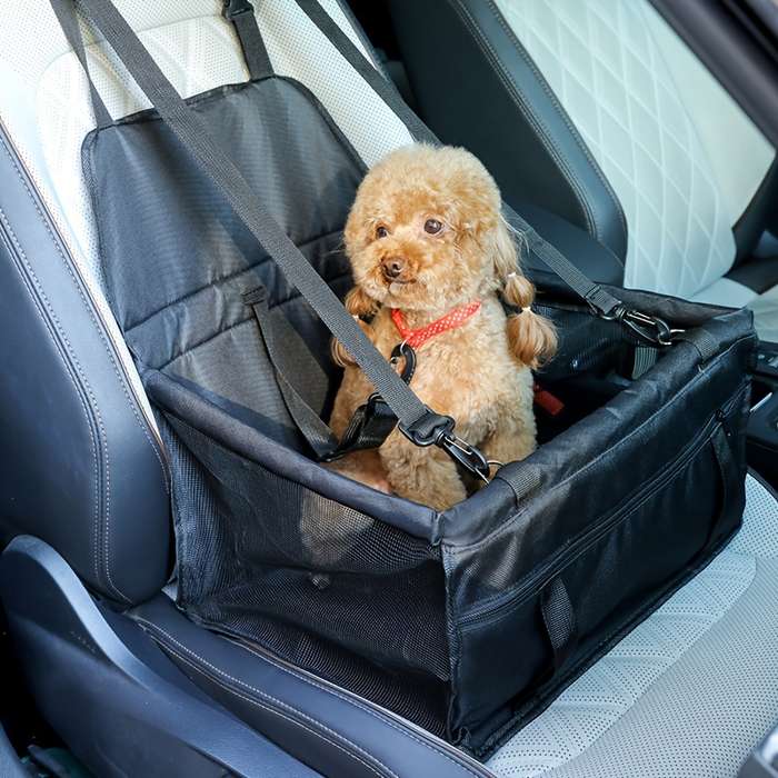 1pc Black Pet Bag