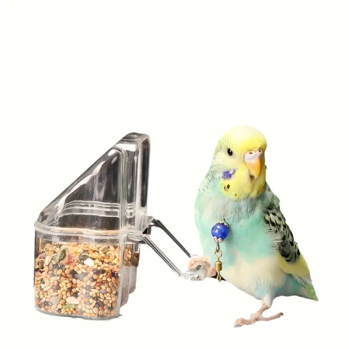 Small Bird Feeder