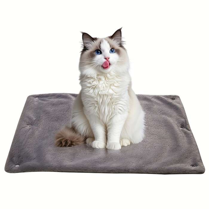 1PC Pet Mat Silvery Grey