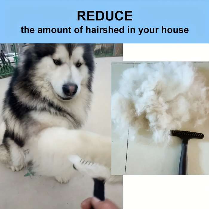 1Piece Pet Comb
