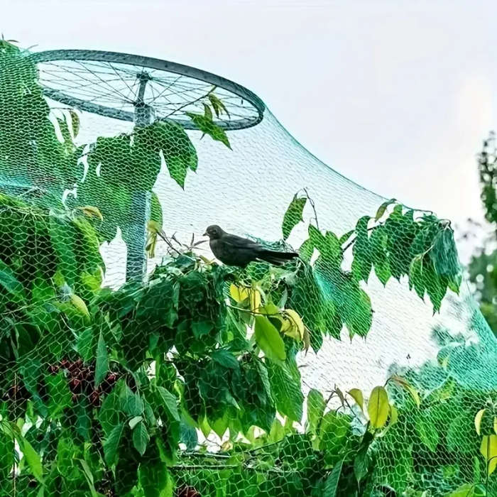 1pc 2x10m Garden Bird Netting Protects Vegetables Fruit Trees from Birds Deer Squirrels Safe