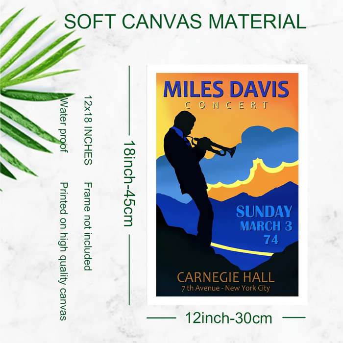 1pc Concert Poster Hd Canvas Print Wall Art 12x18 Inch
