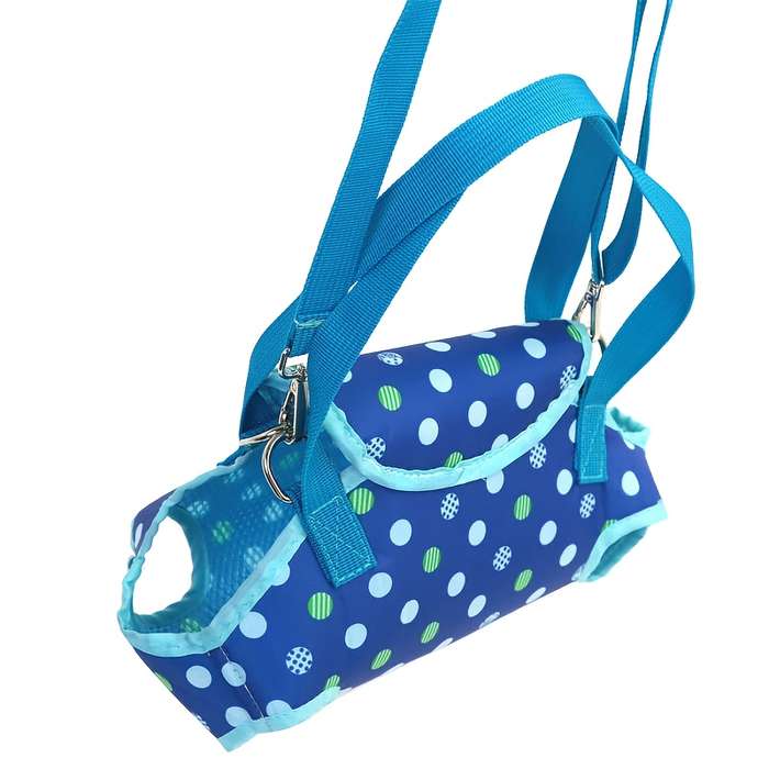 1pc Bluesize S suitable for pets under 2.72 KG Pet Bag