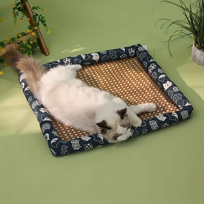 1piece A Variety Of Colors Are Sent Randomly Cooling Pad SizeXL