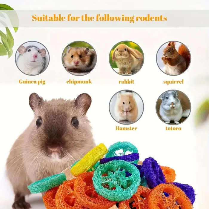 Dog Chew Toys