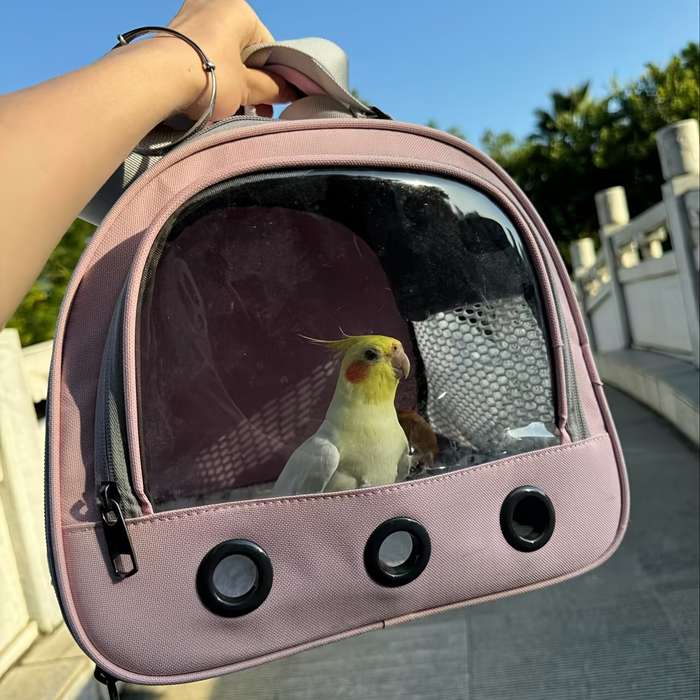 1pc PinkModel Trumpets Pet Bag