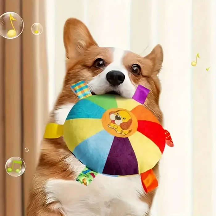 Pet Chew Toys