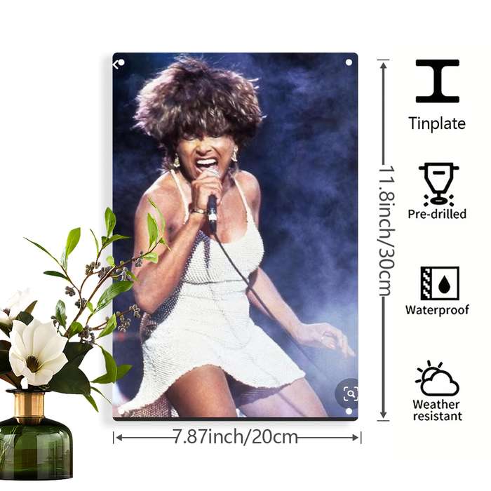 1pc 2D Flat  Tina Turner Wall Art Vibrant Stage Performance Metal Sign Pre-Drilled Holes W