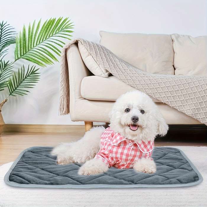 1PC Pet Mat Grey Size S 49.78x39.88cm