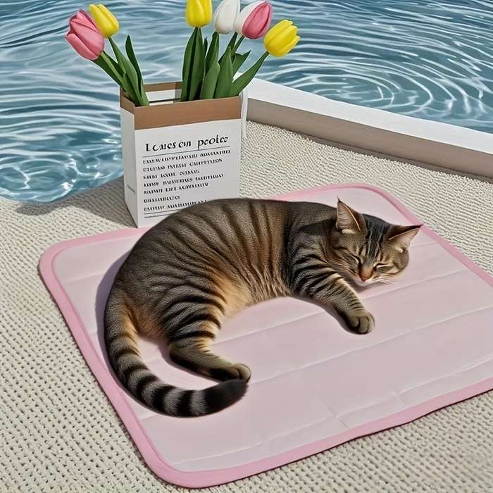 1piece Pink Cooling Pad100.0X70.0cm