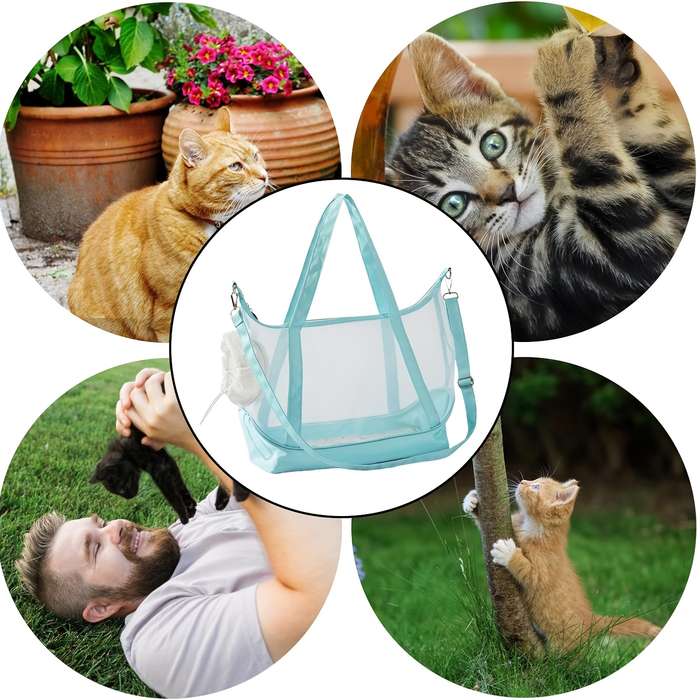 1pc Mint Blue Pet Bag
