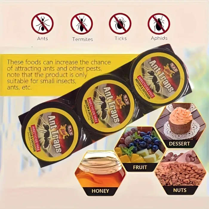 3 Ant Traps