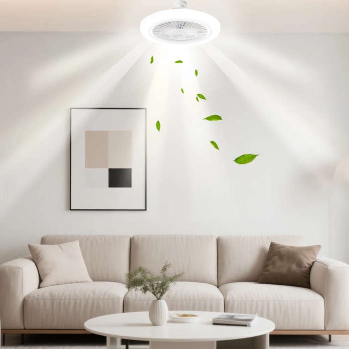 Ceiling Fan Light With Remote Control