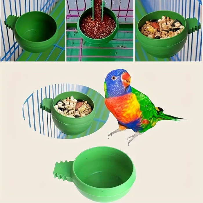Bird Feeder